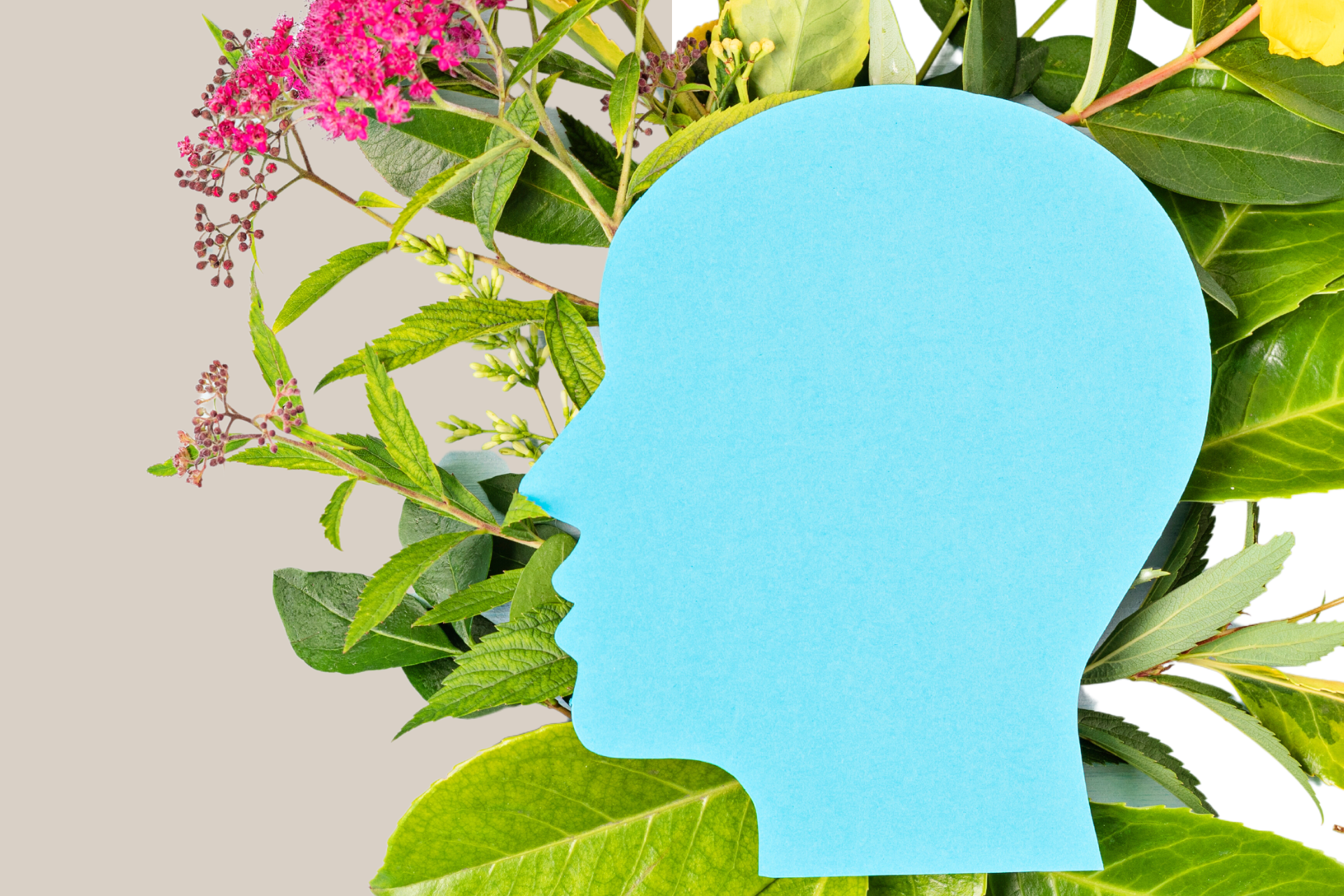 Healthy Minds PY page